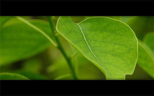 中秋节送什么礼物好,中秋节将至!公众可送上海鲜礼盒表达问候